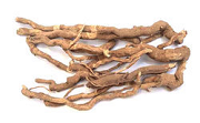 boerhavia diffusa root
